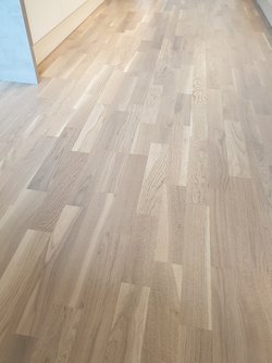 20220413_161711.jpg