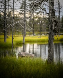 DSC_0491.jpg