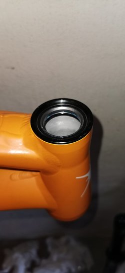 IMG_20220505_145539.jpg