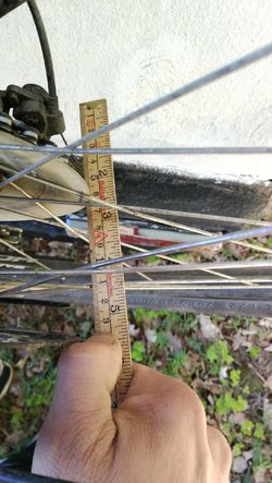 IMG_20220515_102254.jpg