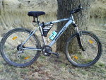 DSC00743.JPG