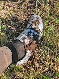 bild3.jpeg