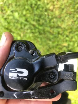 IMG_0731.jpeg