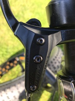 IMG_0733.jpeg