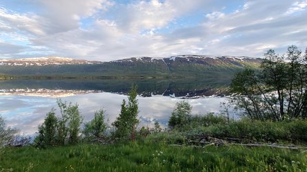 DSC_2526.JPG