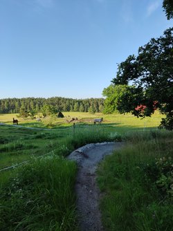 IMG_20220627_061355.jpg