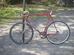 IMGP0125.JPG