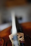 DSC_0008.jpg