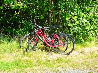 IMG_20220717_110846.jpg