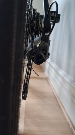 20220718_180329.jpg