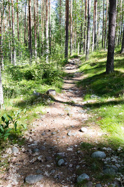 20220706-1039-IMG_5467.jpg