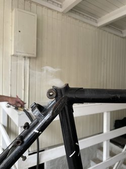 D06ED276-12DA-4254-AC9F-9C216E5B02C3.jpeg