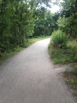 IMG_20220729_153119_905.jpg