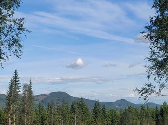 IMG_20220729_173255.jpg