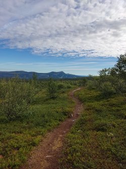 IMG_20220729_084532.jpg