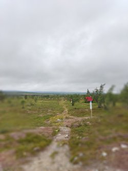 IMG_20220725_081417.jpg