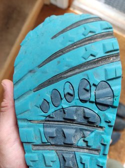 IMG_20220809_180559.jpg