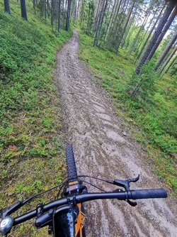 IMG_20220812_141204.jpg