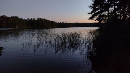 IMG_20220813_212447788_HDR.jpg