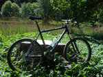 DSC00528x800.jpg