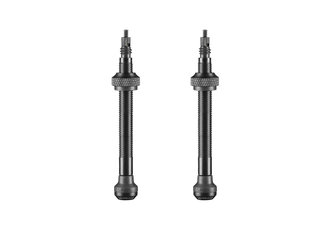 Schwalbe_Tubeless_Ventiler_2_stk_60m_1621505763.jpg