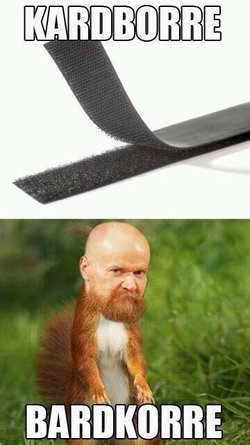 BfEnCksIAAAXhRf.jpg