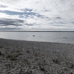 P_20220903_133334~2.jpg