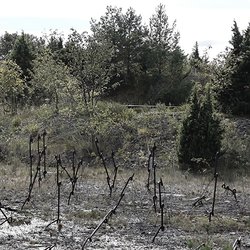 P_20220903_124527~2.jpg