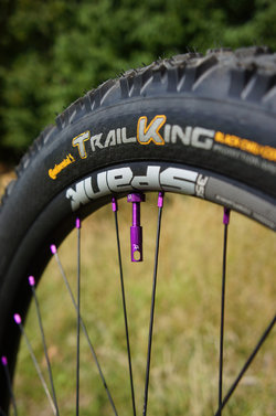 Sirius_Tubeless_Valve.JPG