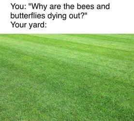 EEFFCFB2-677C-465E-8956-670996F4C681.jpeg