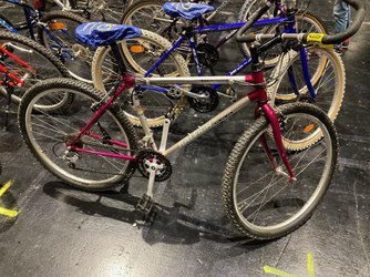 MUC-Radlflohmarkt-2022-Raleigh.jpeg