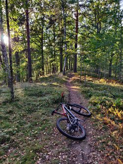 IMG_20220917_180823.jpg