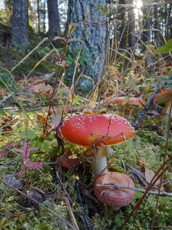 IMG_20220925_152040.jpg