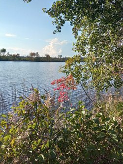 IMG_20220925_153812.jpg