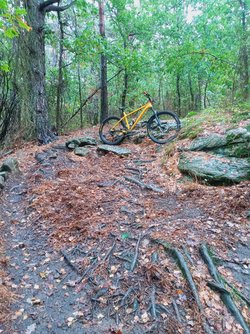 IMG_20220928_173755_292.jpg