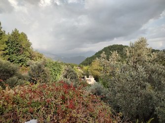 IMG_20221003_171717888_HDR.jpg