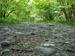 DSC00551s.JPG