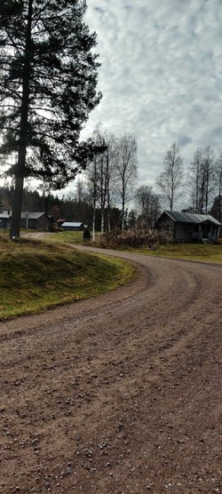 IMG_20221020_133858.jpg