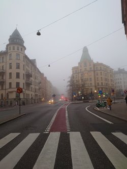 20221031_070805.JPG