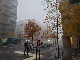 20221031_071154.JPG
