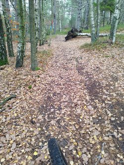 IMG_20221105_102035.jpg