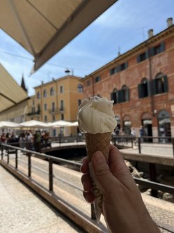 IMG_3357.jpeg