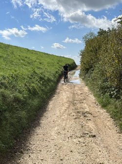 IMG_3401.jpeg