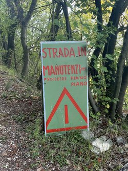 IMG_3383.jpeg