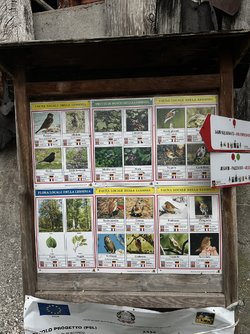 IMG_3420.jpeg