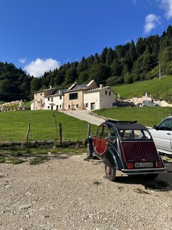 IMG_3444.jpeg