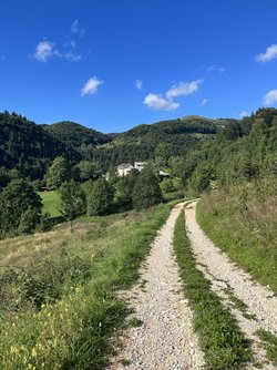 IMG_3433.jpeg