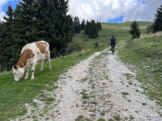 IMG_3509.jpeg