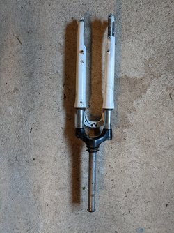 PXL_20221108_103321056.jpg