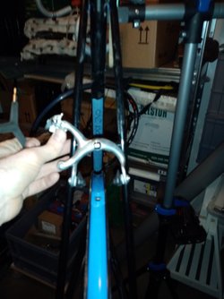 IMG_20221120_175043.jpg